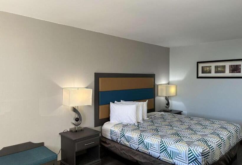 스탠다드 룸 킹사이즈 침대, Motel 6 Greenville, Nc Ecu Medical Center