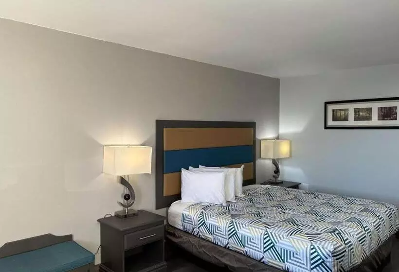 اتاق استاندارد با تخت بزرگ, Motel 6 Greenville, Nc Ecu Medical Center