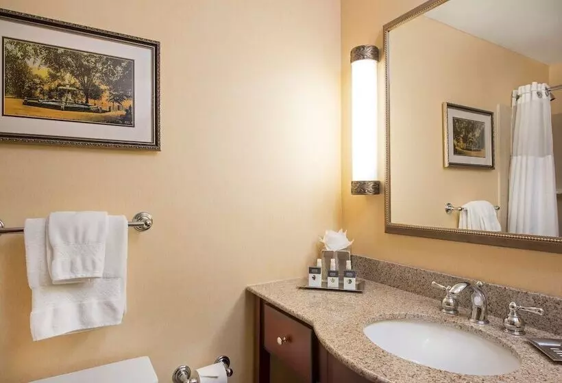 اتاق استاندارد با 2 تخت دوبل, Doubletree By Hilton Hotel Grand Rapids Airport