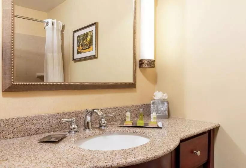 اتاق استاندارد با 2 تخت دوبل, Doubletree By Hilton Hotel Grand Rapids Airport