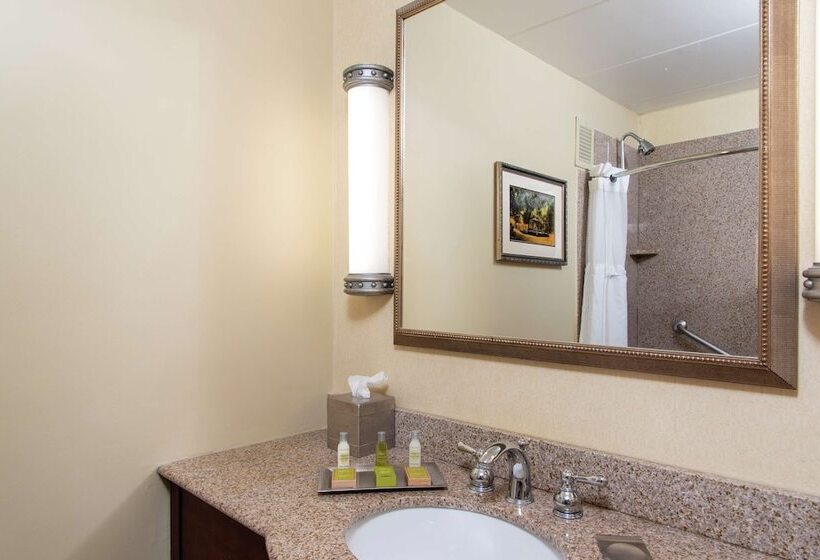 Номер Стандарт 2 Двуспальные Кровати, Doubletree By Hilton Hotel Grand Rapids Airport