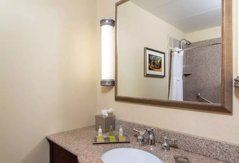 اتاق استاندارد با 2 تخت دوبل, Doubletree By Hilton Hotel Grand Rapids Airport