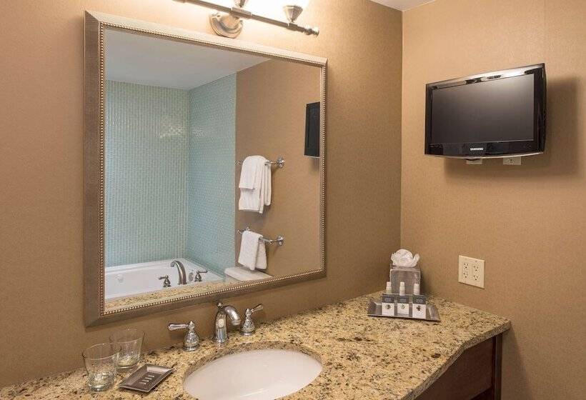 Полулюкс, Doubletree By Hilton Hotel Grand Rapids Airport