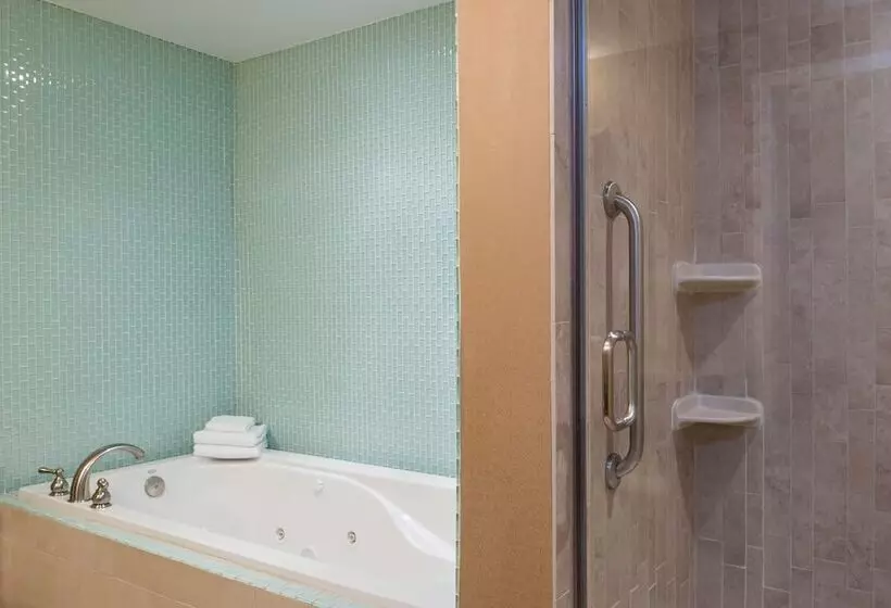 سوییت جونیور, Doubletree By Hilton Hotel Grand Rapids Airport