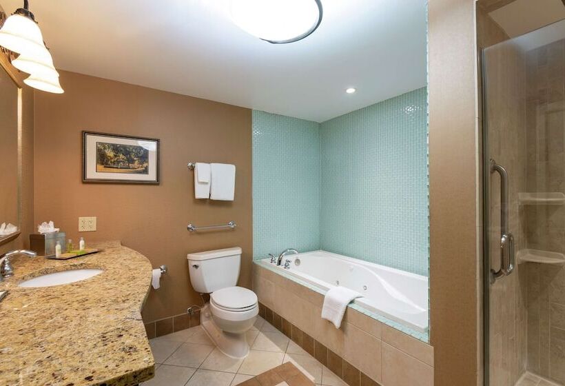 Полулюкс, Doubletree By Hilton Hotel Grand Rapids Airport