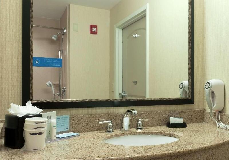 Номер Стандарт Адаптированный для Инвалидов, Doubletree By Hilton Hotel Grand Rapids Airport