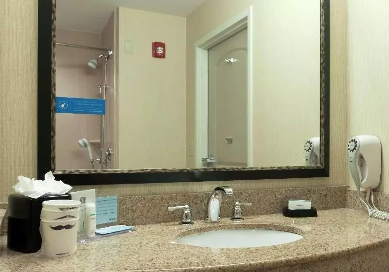 اتاق استاندارد برای معلولان, Doubletree By Hilton Hotel Grand Rapids Airport