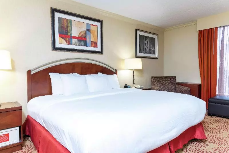 اتاق استاندارد با تخت بزرگ, Doubletree By Hilton Hotel Grand Rapids Airport