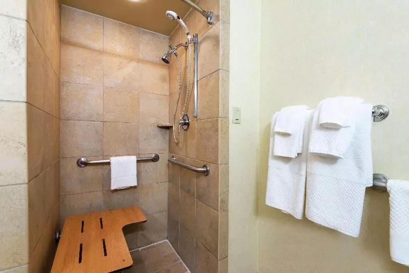 اتاق استاندارد با تخت بزرگ, Doubletree By Hilton Hotel Grand Rapids Airport