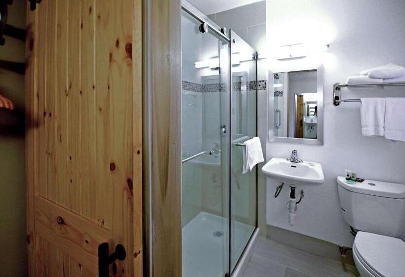 חדר סטנדרט, El Sendero Inn, Ascend Hotel Collection