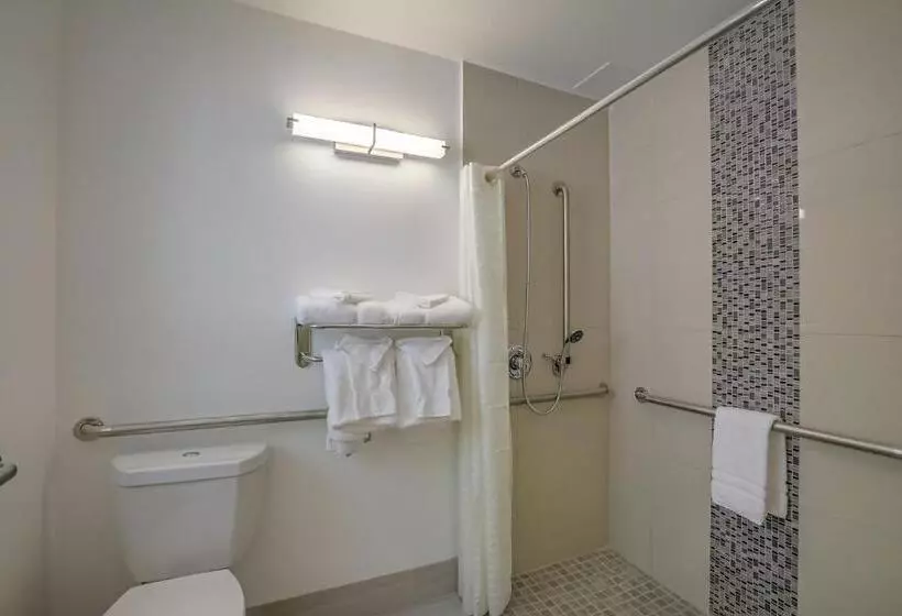 اتاق استاندارد با تخت بزرگ برای معلولان, El Sendero Inn, Ascend Hotel Collection