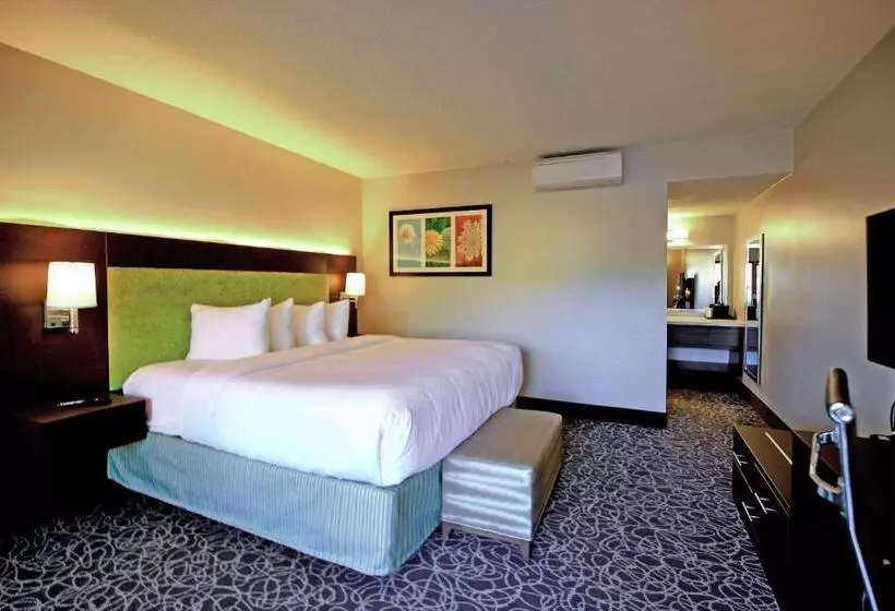اتاق استاندارد با تخت بزرگ برای معلولان, El Sendero Inn, Ascend Hotel Collection