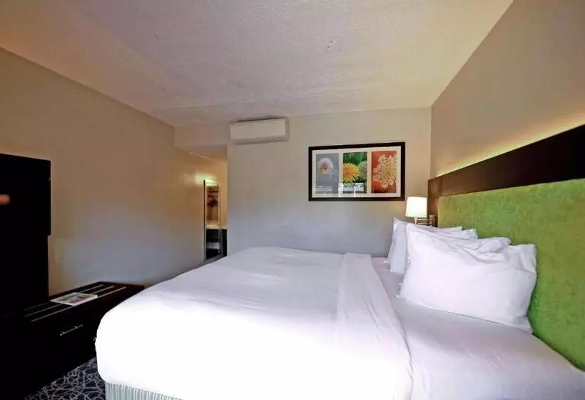 اتاق استاندارد با تخت بزرگ برای معلولان, El Sendero Inn, Ascend Hotel Collection