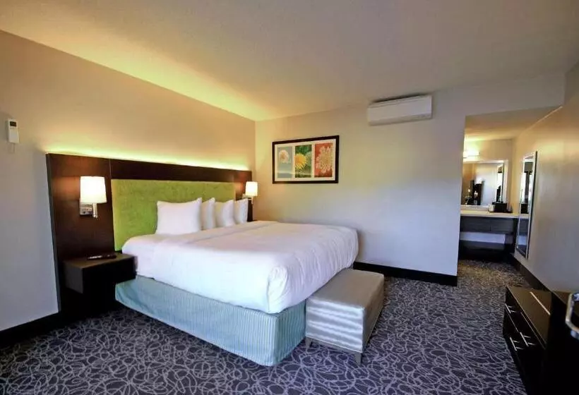 اتاق استاندارد با تخت بزرگ برای معلولان, El Sendero Inn, Ascend Hotel Collection