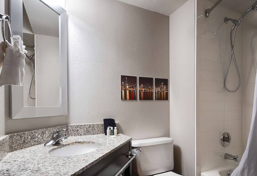 Номер Стандарт 2 Двуспальные Кровати, Best Western O Hare/elk Grove