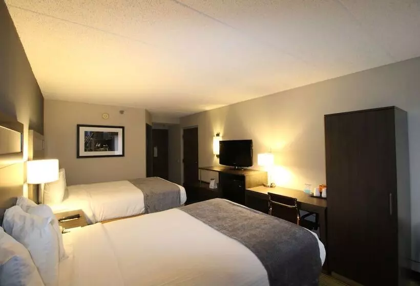 اتاق استاندارد با 2 تخت دوبل, Best Western O Hare/elk Grove