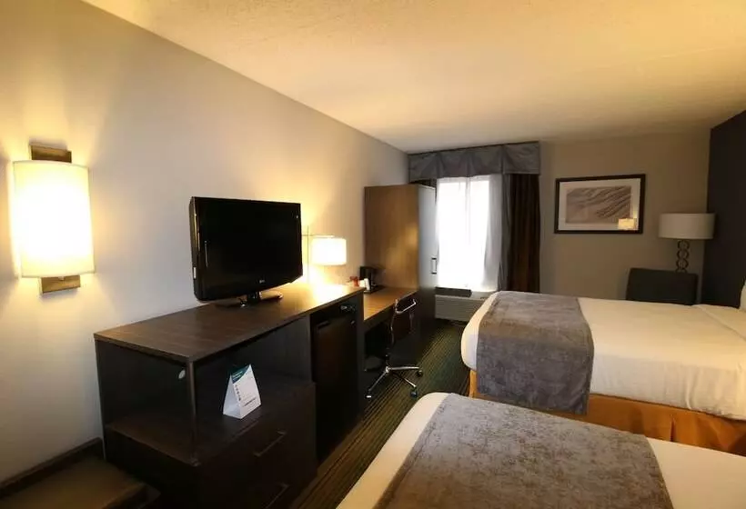اتاق استاندارد با 2 تخت دوبل, Best Western O Hare/elk Grove