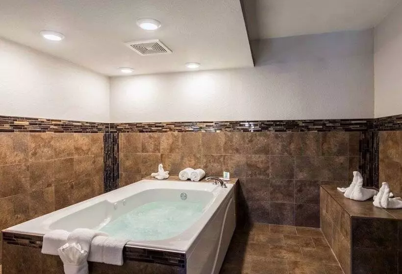 ハイドロマッサージバス付きスイート, Clarion Inn & Suites Russellville I40