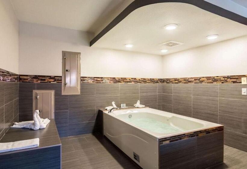 جناح مزود بجاكوزى, Clarion Inn & Suites Russellville I40