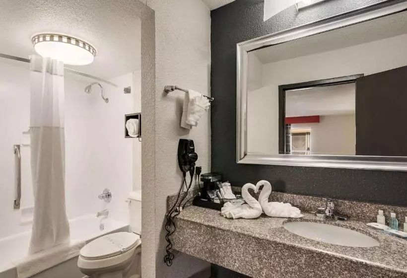 身障者適用キングサイズベッドルーム, Clarion Inn & Suites Russellville I40