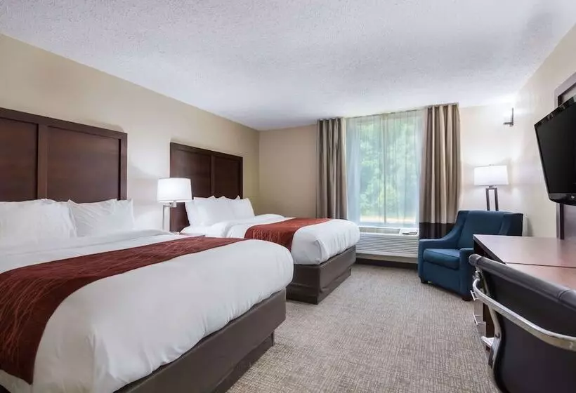 ２ダブルベッドのスタンダードルーム, Comfort Inn