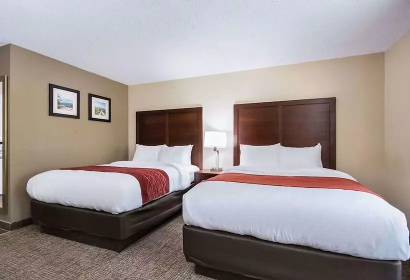 ２ダブルベッドのスタンダードルーム, Comfort Inn