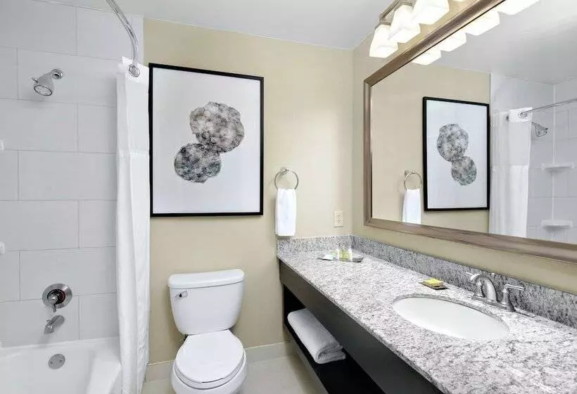 ２ベッドスイートルーム, Doubletree Suites By Hilton Charlotte Southpark