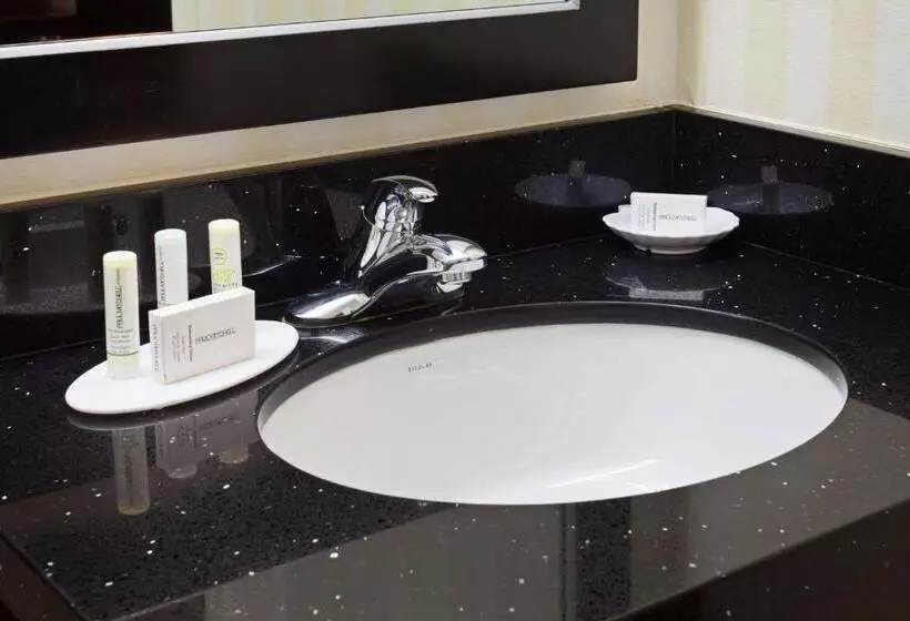 اتاق استاندارد با تخت بزرگ برای معلولان, Fairfield By Marriott Mission Viejo Orange County