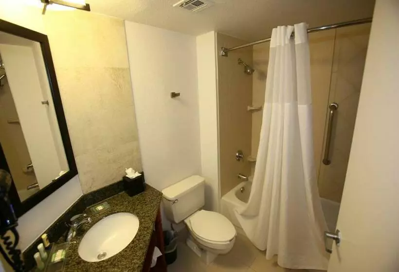 身障者適用スタンダードルーム, Greentree Inn & Suites Phoenix Sky Harbor