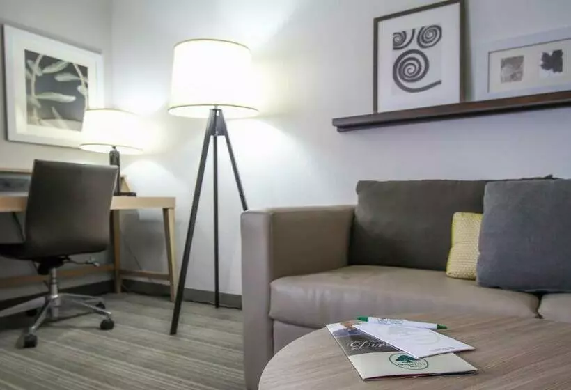 キングサイズベッドのスイートルーム, Greentree Inn & Suites Phoenix Sky Harbor