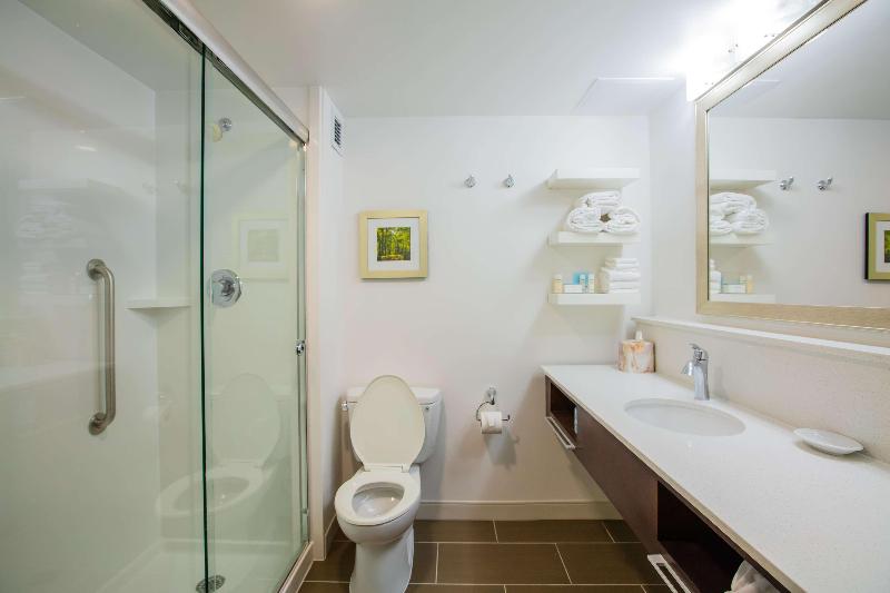 Стандартный Номер Кровать Кинг, Hampton Inn Atlantanorthlake