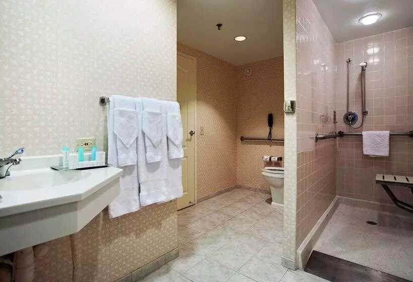 身障者適用スイートルーム, Hilton Chicago/oak Brook Suites