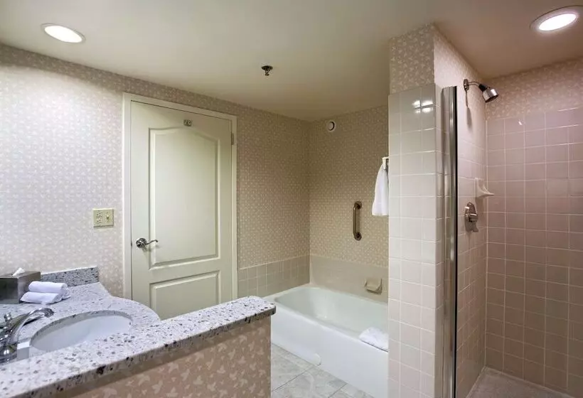 身障者適用スイートルーム, Hilton Chicago/oak Brook Suites
