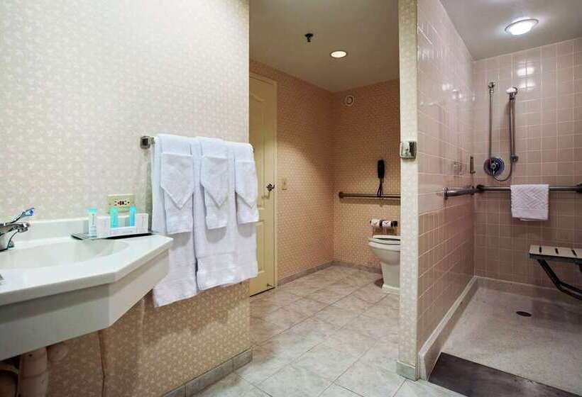 غرفة قياسية, Hilton Chicago/oak Brook Suites