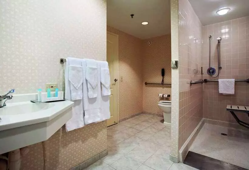 スタンダードルーム, Hilton Chicago/oak Brook Suites