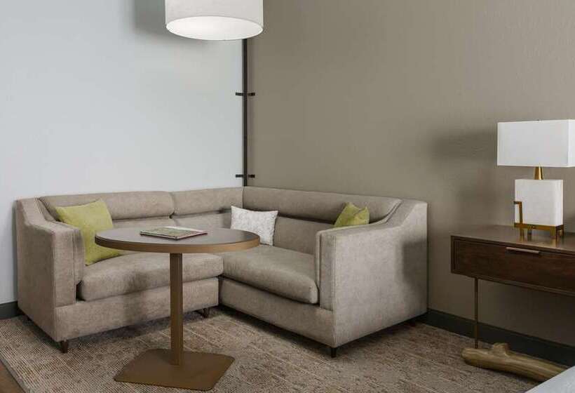 جناح سرير كينج, Hilton Chicago/oak Brook Suites