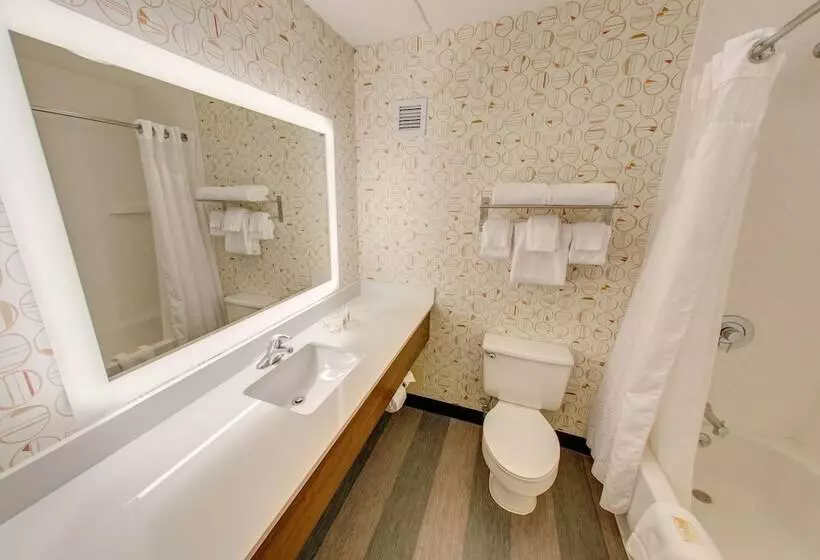 Standard-huone 2 Parivuodetta, Holiday Inn Auburn Finger Lakes Region, An Ihg