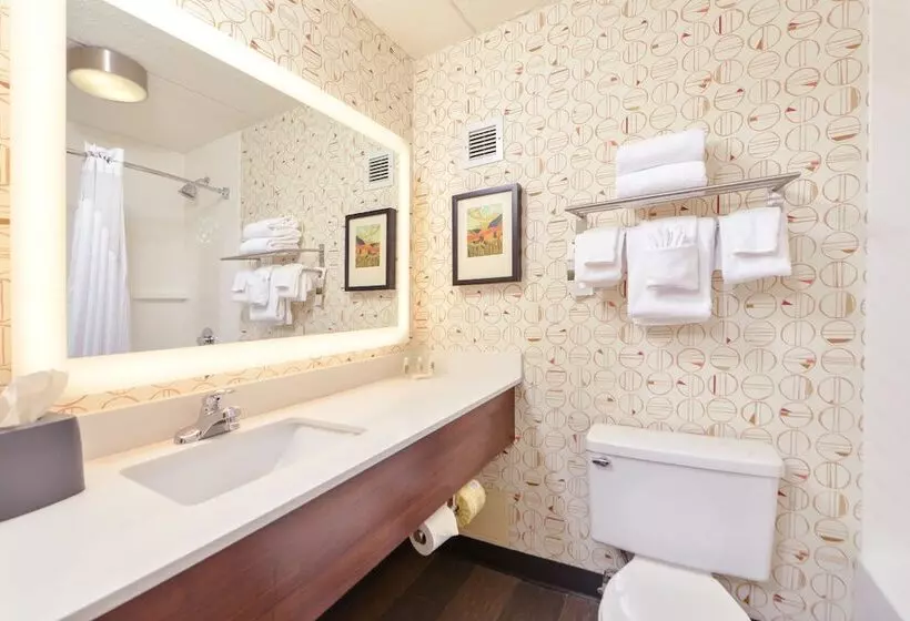 Standard-huone 2 Parivuodetta, Holiday Inn Auburn Finger Lakes Region, An Ihg