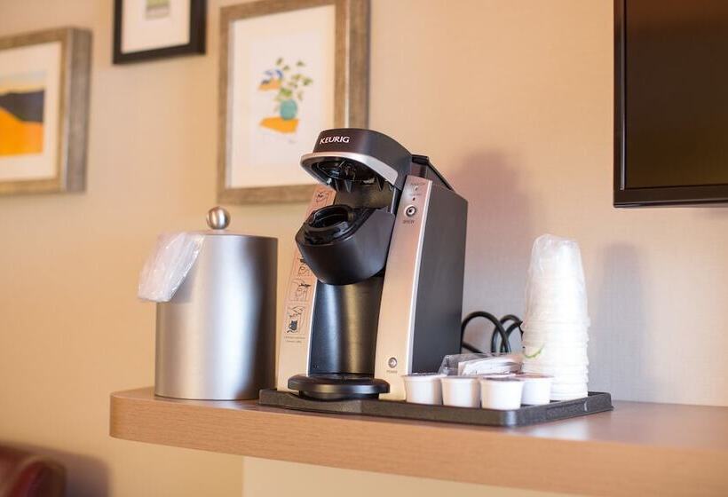 غرفة قياسية, Holiday Inn Auburn Finger Lakes Region, An Ihg