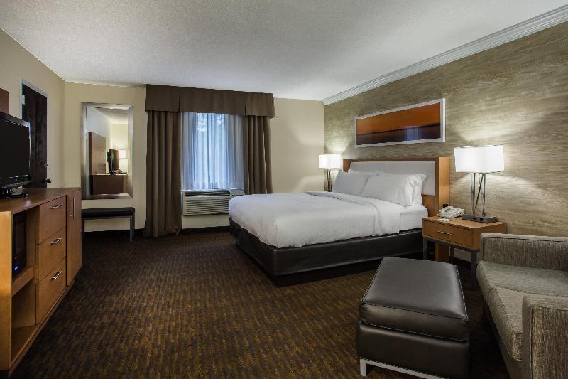 غرفة قياسية سرير كينج, Holiday Inn Saratoga Springs, An Ihg