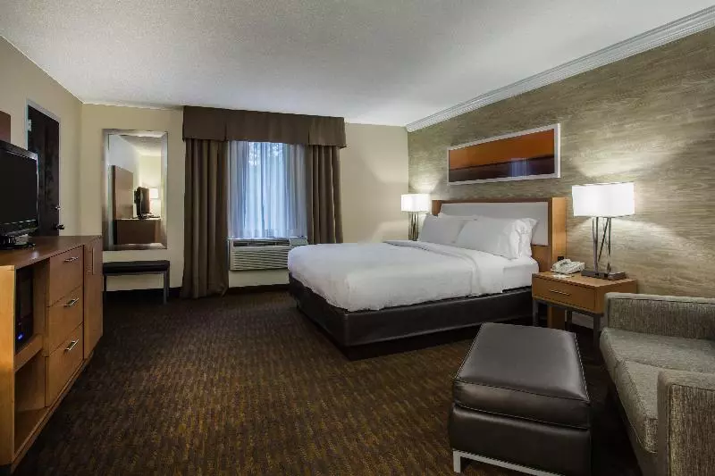 キングサイズベッドのスタンダードルーム, Holiday Inn Saratoga Springs, An Ihg