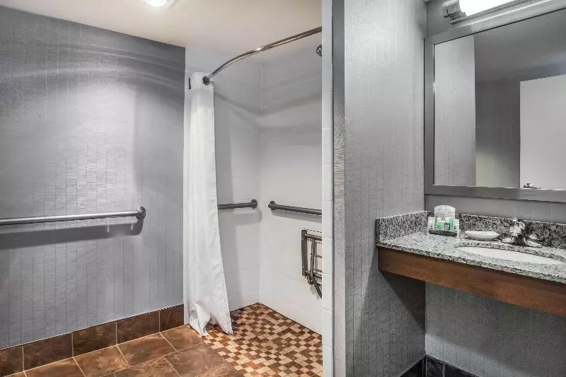 キングサイズベッドのスタンダードルーム, Holiday Inn Saratoga Springs, An Ihg