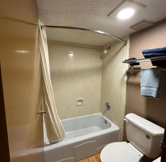 غرفه قياسيه سريرين مزدوجين, Lone Star Inn & Suites