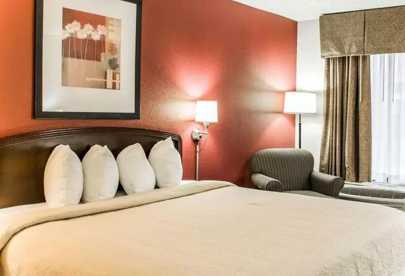 キングサイズベッドのスタンダードルーム, Quality Inn Roanoke Near Lake Gaston