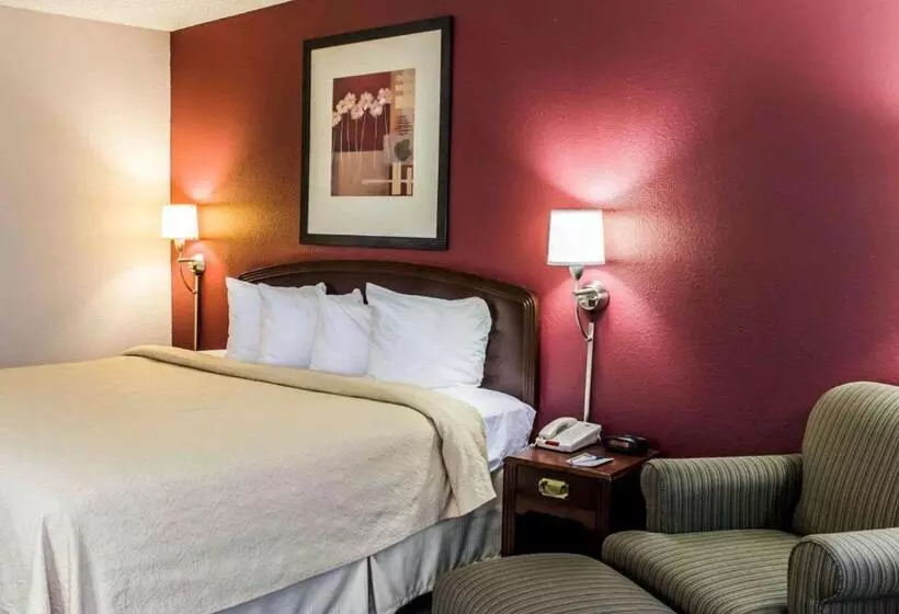 キングサイズベッドのスタンダードルーム, Quality Inn Roanoke Near Lake Gaston