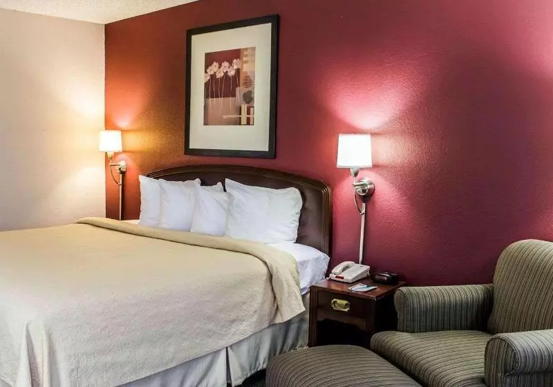 キングサイズベッドのスタンダードルーム, Quality Inn Roanoke Near Lake Gaston