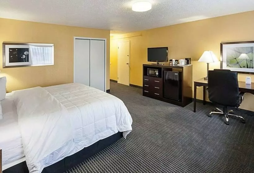 デラックスルーム, Quality Inn