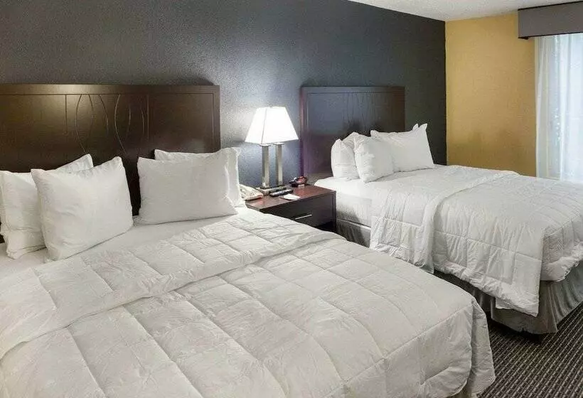 デラックスルーム, Quality Inn