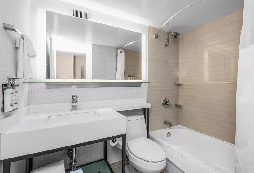 シングルデラックスルーム, Holiday Inn San Francisco Golden Gateway, An Ihg Hotel With No Resort Fee