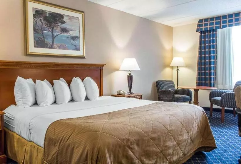 اتاق استاندارد با تخت بزرگ, Clarion Hotel & Conference Center